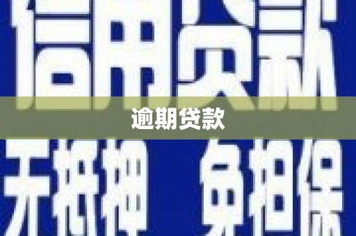 北部新区逾期贷款