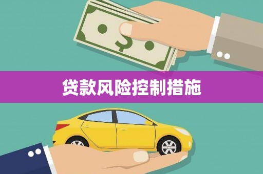 北部新区贷款风险控制措施
