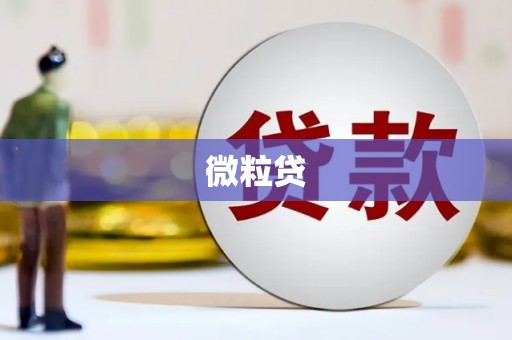 北部新区微粒贷
