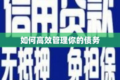 北部新区如何高效管理你的债务