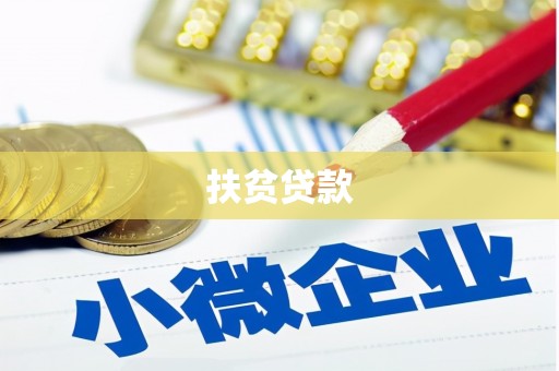北部新区扶贫贷款