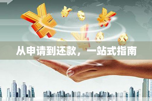 北部新区从申请到还款，一站式指南