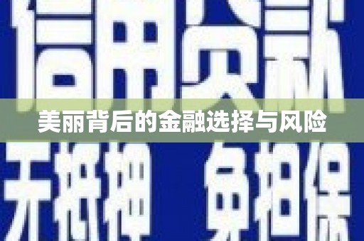 北部新区美丽背后的金融选择与风险