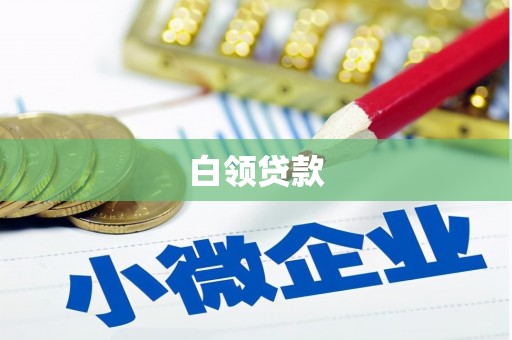 北部新区白领贷款