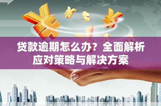 北部新区贷款逾期怎么办？全面解析应对策略与解决方案