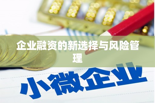 北部新区企业融资的新选择与风险管理