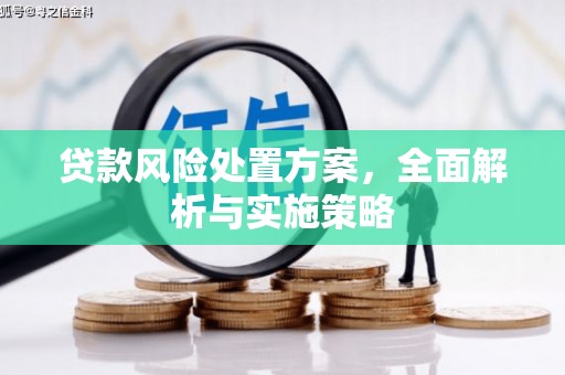 北部新区贷款风险处置方案，全面解析与实施策略