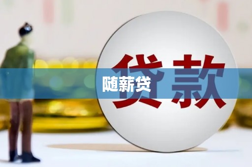 北部新区随薪贷