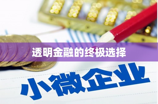 北部新区透明金融的终极选择