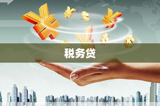 北部新区税务贷