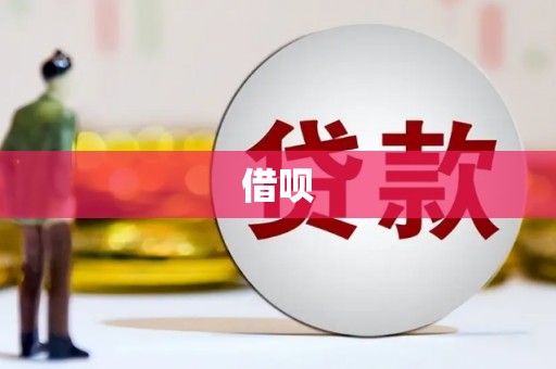北部新区借呗