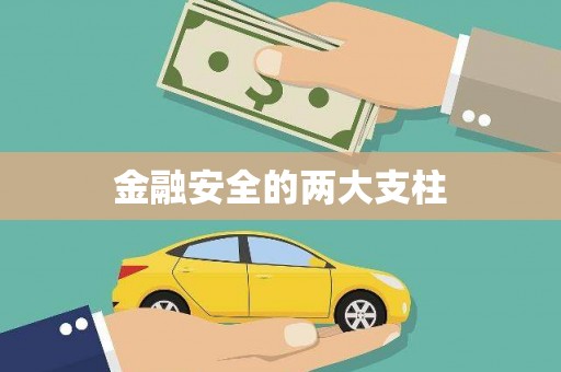 北部新区金融安全的两大支柱