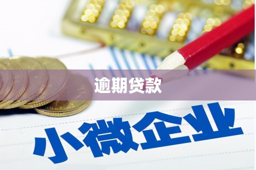 北部新区逾期贷款