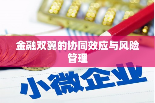 北部新区金融双翼的协同效应与风险管理