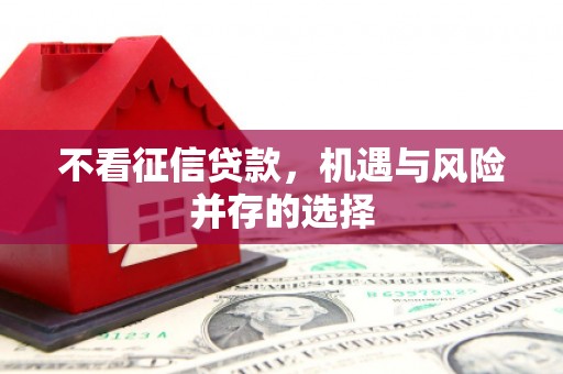 北部新区不看征信贷款，机遇与风险并存的选择