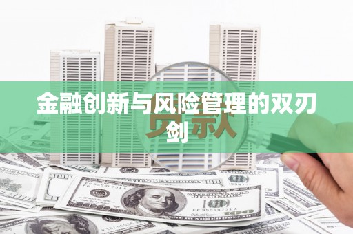 北部新区金融创新与风险管理的双刃剑