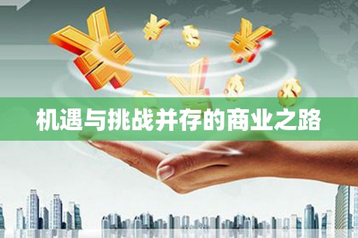 北部新区机遇与挑战并存的商业之路