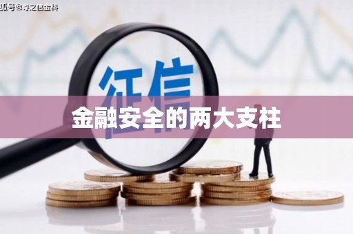 北部新区金融安全的两大支柱