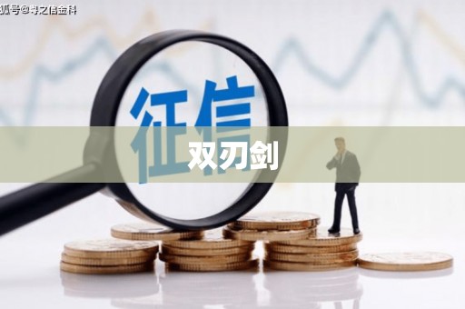 北部新区双刃剑