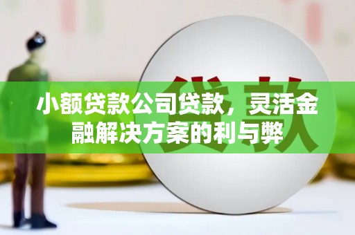 北部新区小额贷款公司贷款，灵活金融解决方案的利与弊
