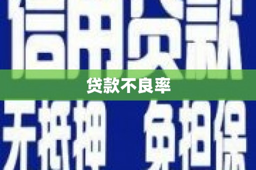 北部新区贷款不良率