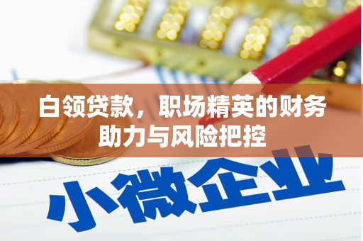 北部新区白领贷款，职场精英的财务助力与风险把控